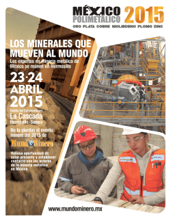 LOS MINERALES QUE MUEVEN AL MUNDO