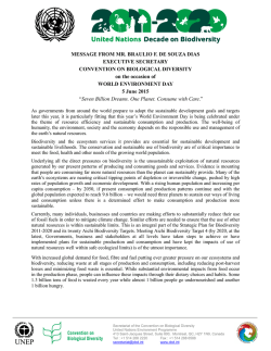 MESSAGE FROM MR. BRAULIO F. DE SOUZA DIAS
