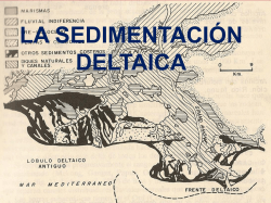 La Sedimentación Deltaica