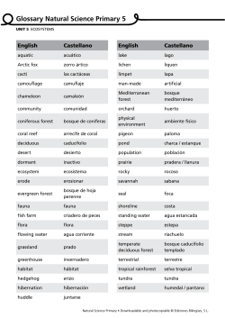 Glossary Natural Science Primary 5