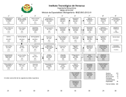 Retícula Ing. Bioquímica - Instituto Tecnológico de Veracruz