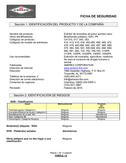 ficha de seguridad - Amerex Corporation