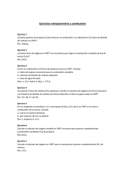 Ejercicios estequiometr&iacute;a y combusti&oacute;n