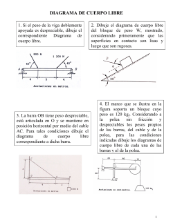 DIAGRAMA DE CUERPO LIBRE EJERCICIOS