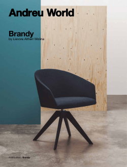 Brandy - Andreu World
