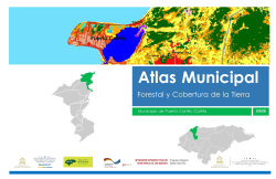 Puerto Cortés Atlas Forestal Municipal - Programa REDD/CCAD-GIZ