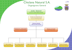 Organigramas - Chiclana Natural