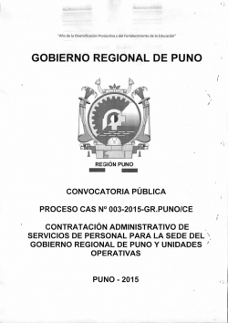 GOBIERNO REGIONAL DE PUNO