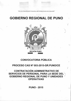 GOBIERNO REGIONAL DE PUNO
