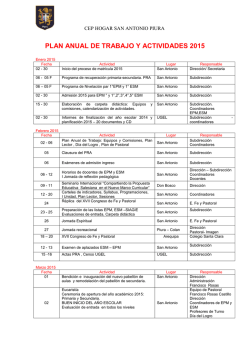 Plan Anual y Actividades 2015