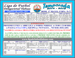 torneo de copa 2015