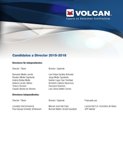 Candidatos a Director 2015-2018