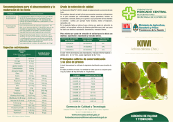 Ficha T&eacute;cnica del Kiwi - Mercado Central de Buenos Aires