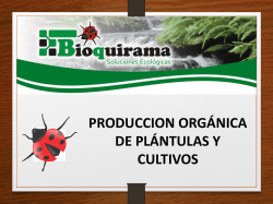Presentación de PowerPoint - Bioquirama .::. Soluciones Ecológicas