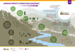 ANDEAN FORESTS: CONNECTING COUNTRIES