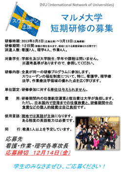 マルメ大学 短期研修報告会