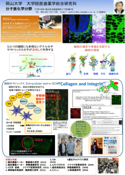PowerPoint プレゼンテーション