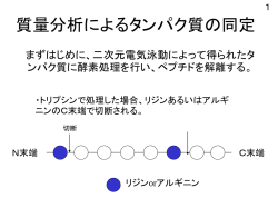 質量分析によるタンパク質の同定