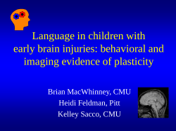 Language in children with early unilateral brain