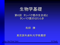 ｽﾗｲﾄﾞ ﾀｲﾄﾙなし