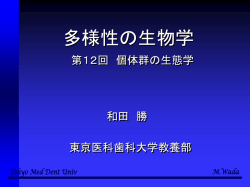 ｽﾗｲﾄﾞ ﾀｲﾄﾙなし