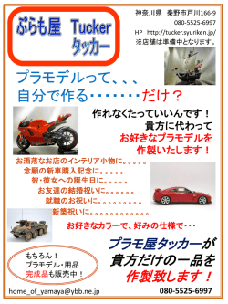 プラモデルって 自分で作る・・・・・・・ だけ？