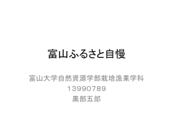 富山の名物