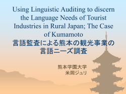 Using Linguistic Auditing to discern the Language