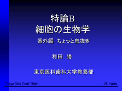 ｽﾗｲﾄﾞ ﾀｲﾄﾙなし