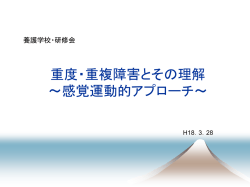 重度・重複障害のある子どもたちへの 感覚運動的アプ