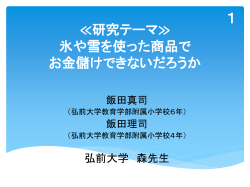 氷や雪 を使った商品で お金儲けできないだろうか
