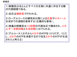 解糖系