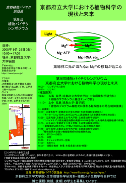 PowerPoint プレゼンテーション