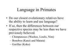 Language in Primates - University of Arkansas