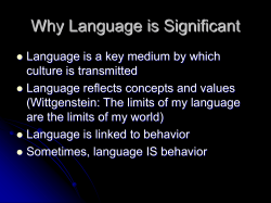 Why Language is Significant