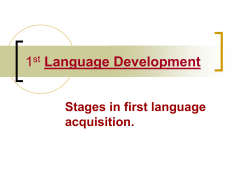 1st Language Development
