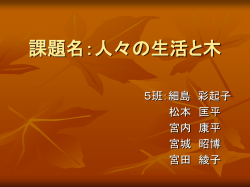 課題名：様々な木材利用