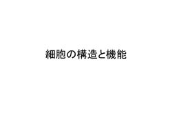 細胞の構造と機能