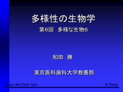 ｽﾗｲﾄﾞ ﾀｲﾄﾙなし