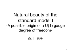 Natural beauty of the standard model I