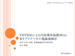 FDTD法による内部導体装置Mini