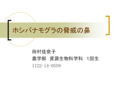 ホシバナモグラの脅威の鼻