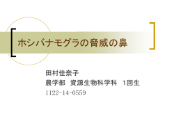 ホシバナモグラの脅威の鼻