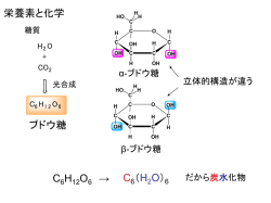 マンガン電池 （ルクランシェ電池）
