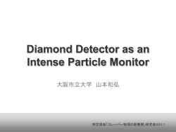 Diamond Detector as an Intense Particle Monitor