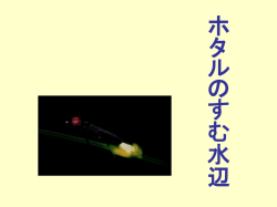 ホタルのすむ水辺 - インターネット回線 | au