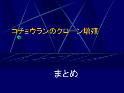 コチョウランのクローン増殖