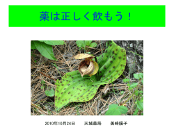 薬の飲み方 薬の種類 - トップページ | 静岡県