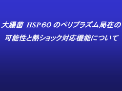 ｽﾗｲﾄﾞ ﾀｲﾄﾙなし