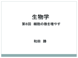ｽﾗｲﾄﾞ ﾀｲﾄﾙなし